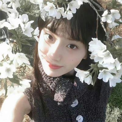 壁女